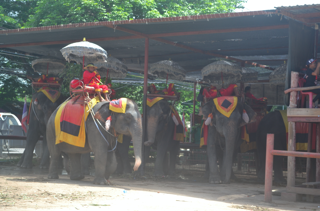 Vimos esses em Ayutthaya, na entrada de um dos templos. :(