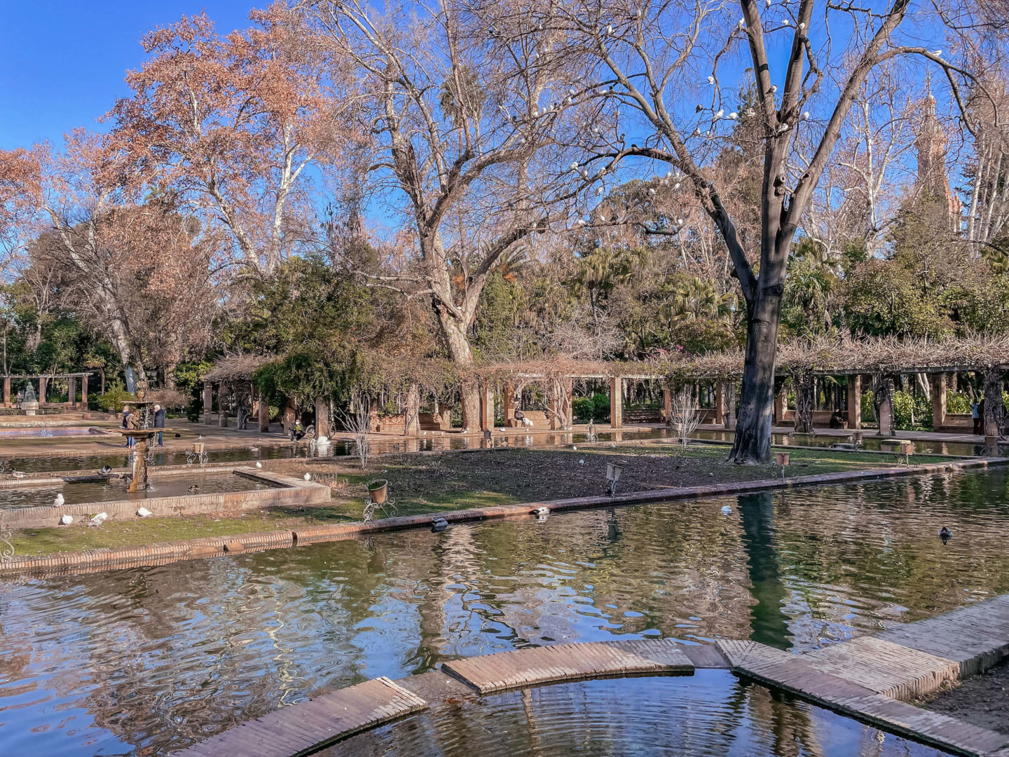 Foto de um lago e árvores secas ao redor, na Praça Maria Luiza.