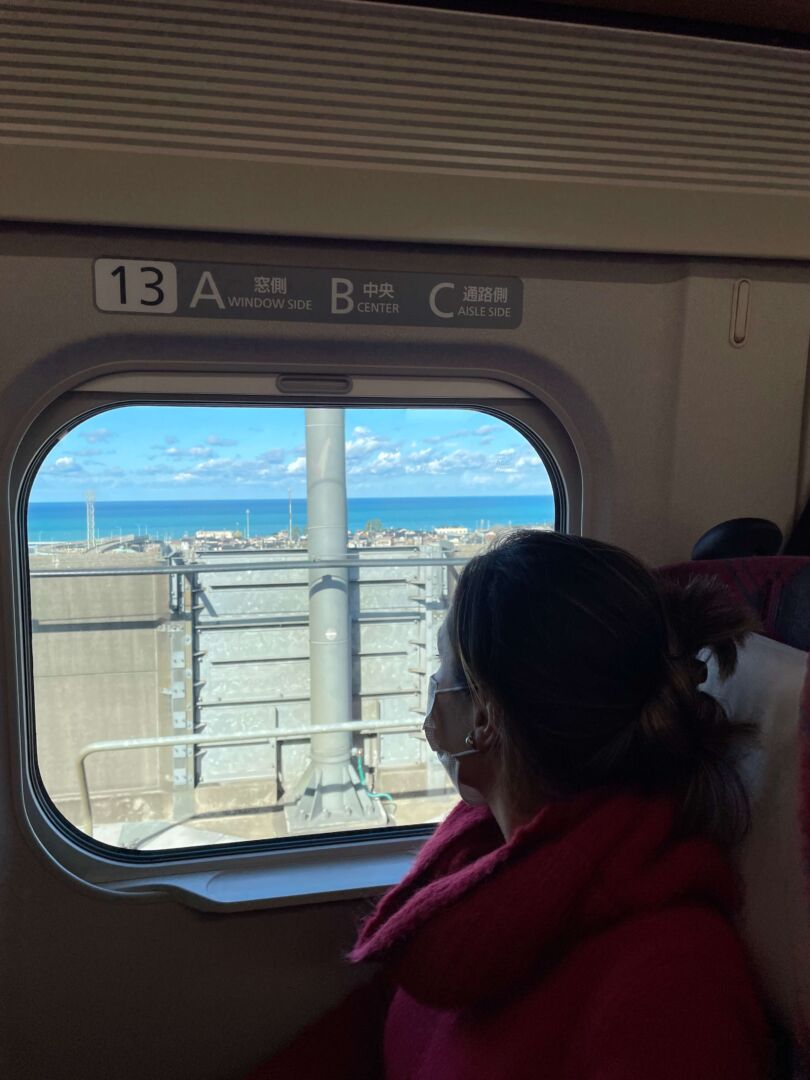eu olhando pela janela do trem.