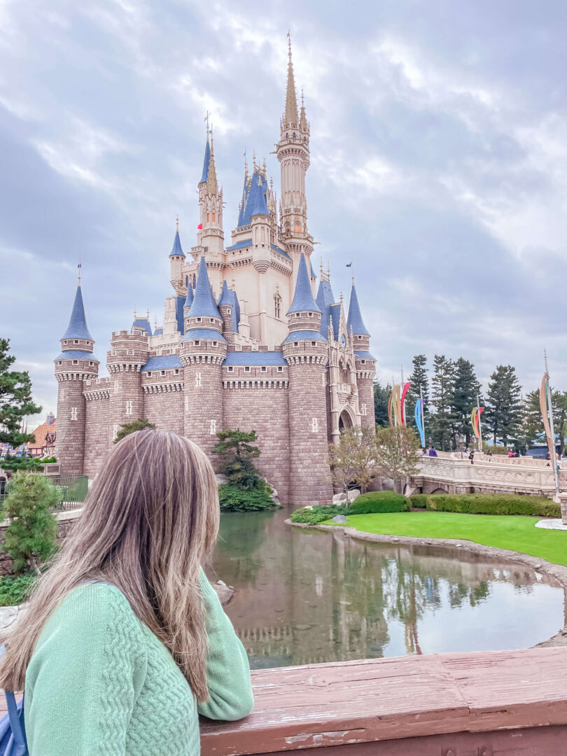 Eu apareço de costas, olhando para o Castelo da Cinderela da Disney ao fundo. Entre eu e o castelo está um lago. O dia está nublado.