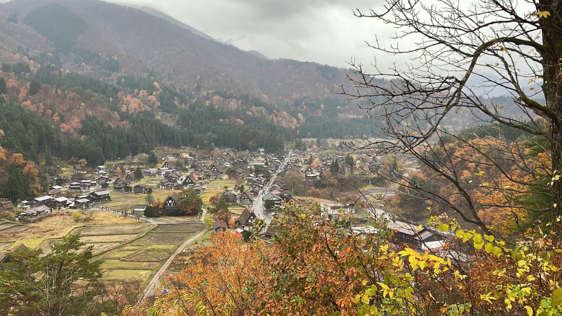 Foto do alto do mirante da pequena cidade de Shirakawa Go. O dia está nublado, tem uma montanha ao fundo, árvores com as folhas amarelas em primeiro plano e casinhas ao fundo.