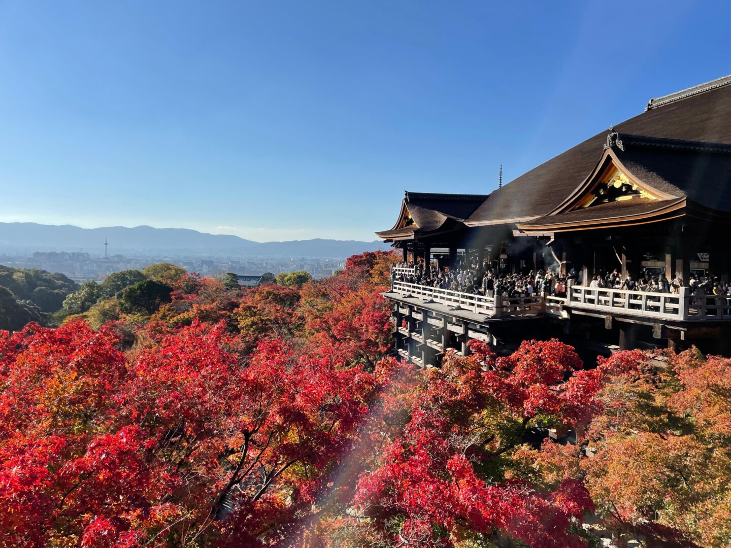 Uma parte do templo Kiomizu Dera, céu azul e embaixo um chão de árvores com a folhagem vermelha. 