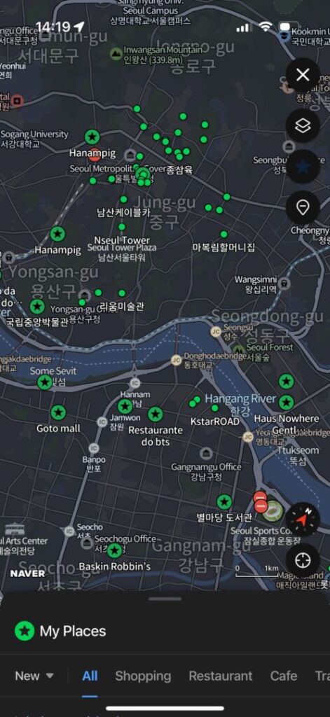 foto da tela com o mapa Naver e os pontos marcados.